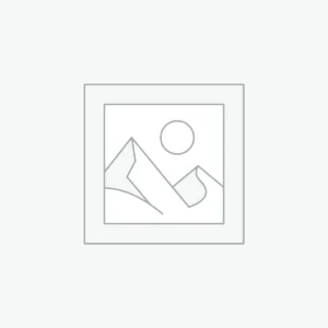 Digital Services